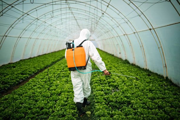 Best Mosquito Control Services  in Bayboro, NC