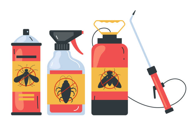 Best Flea Control Services  in Bayboro, NC